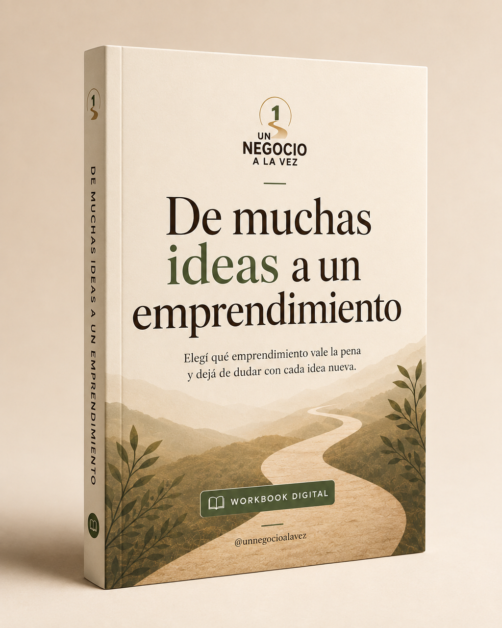 De Muchas Ideas A Un Emprendimiento